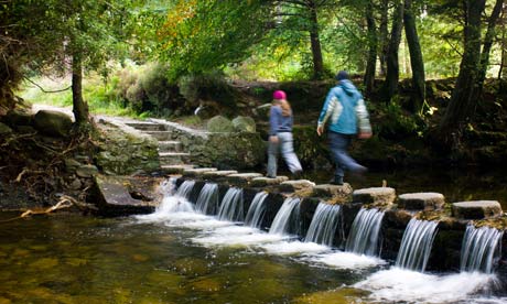 In 2010, 159 of the 465 people on the civil service’s fast stream scheme had degrees in economics.