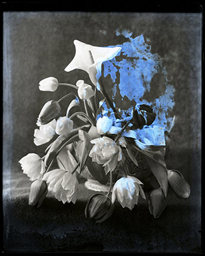 exhbitionist1310: Jodie Carey