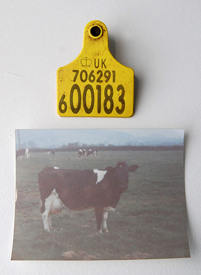 exhbitionist1310: Fernando García-Dory And Radovan Kraguly