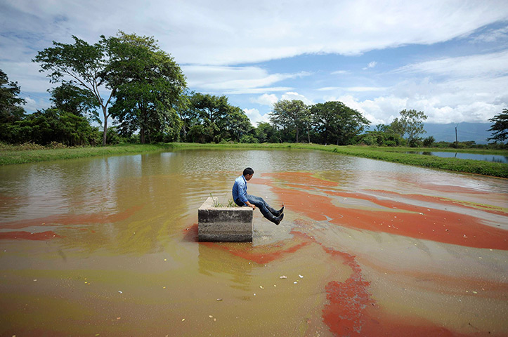 24 hours: Lejamani province, Honduras: A tilapia breeder at his pond