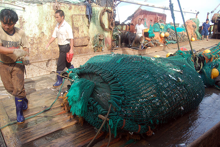 EJF: Illegal fishing in Sierra Leone