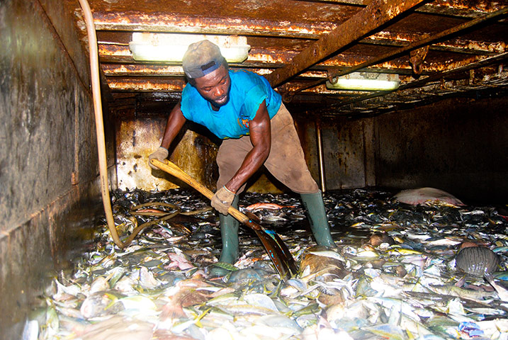 EJF: Illegal fishing in Sierra Leone