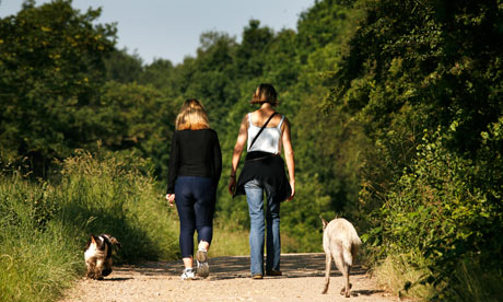 women walking dogs