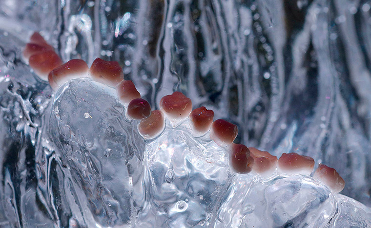 24 horus in pictures: Milk teeth are seen in a detail of artist Gina Czarnecki's sculpture