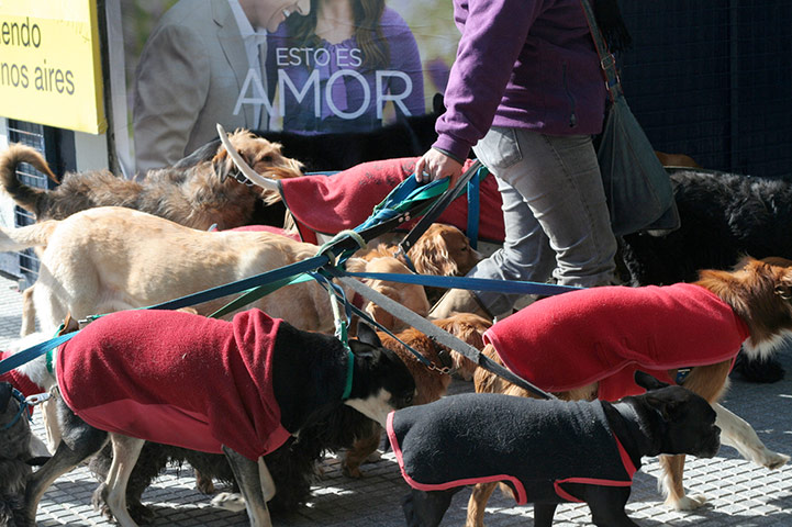 Megacities: Buenos Aires