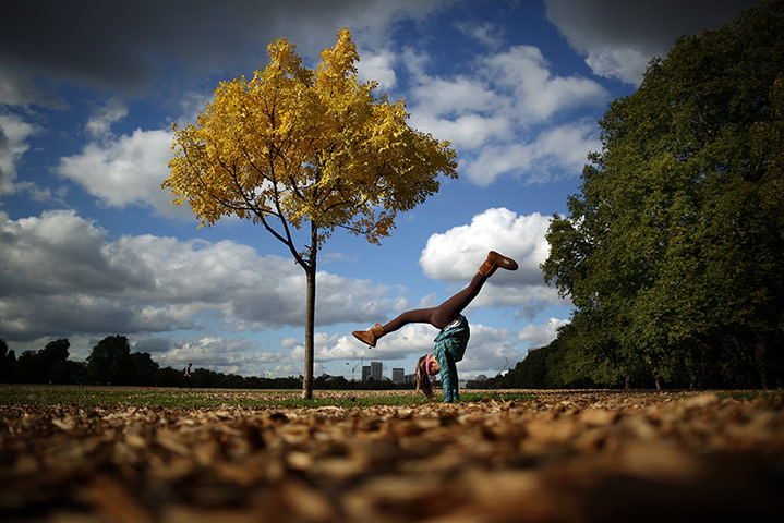 Twenty Photographs: Autumn Colours Start To Show In London