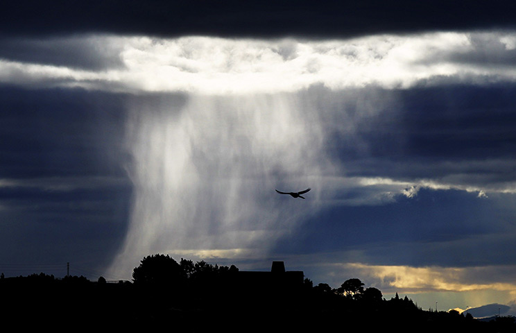 24 hours: Bilbao, Spain: A bird of prey glides at sunrise