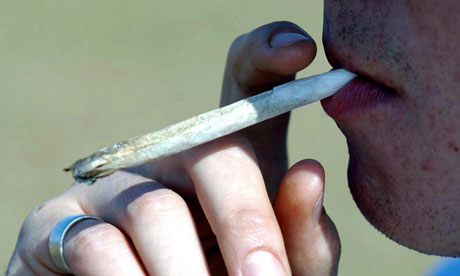 A review of the government's appraoch to cannabis and other drugs is needed, says the independent body that analyses drug laws Photograph: PA