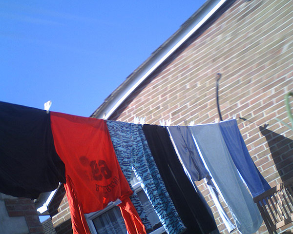 For the LOL of Cats: Untitled, Nancy Bean Study by Christian Allen