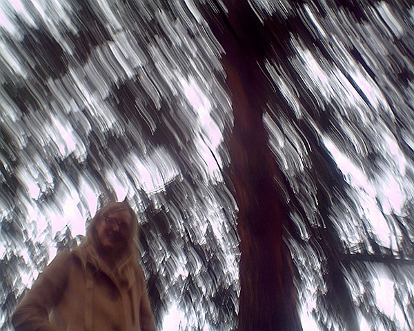 For the LOL of Cats: Untitled, Photo by Cooper Cat 