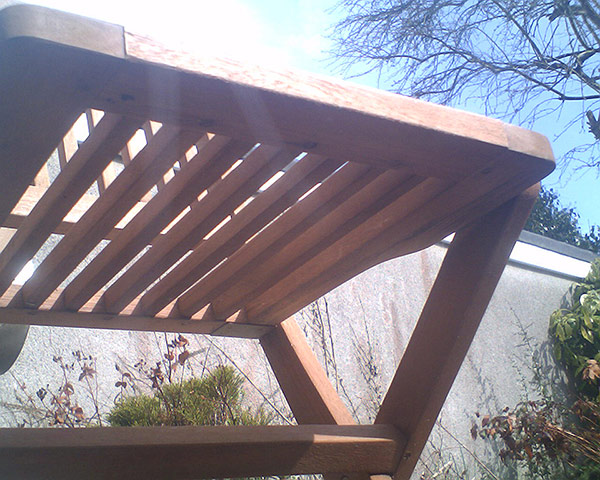 For the LOL of Cats: Untitled, Nancy Bean Study by Christian Allen 