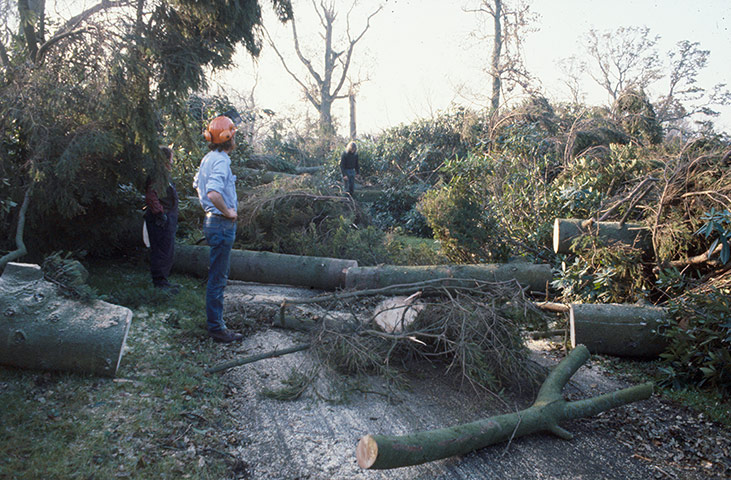 1987 Storm: National Trust and Royal Kew garden Wakehurst Place near Haywards Heath
