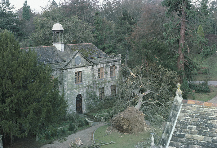 1987 Storm: National Trust and Royal Kew garden Wakehurst Place near Haywards Heath