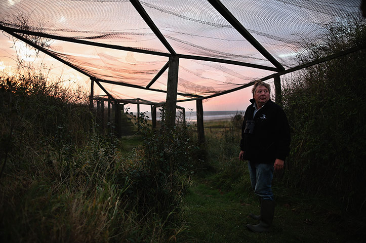 Spurn Head: Migratory Birds Are Ringed At Yorkshire Wildlife Trust's Spurn Point