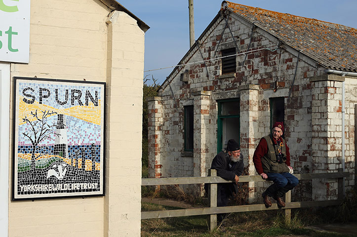 Spurn Head: Migratory Birds Are Ringed At Yorkshire Wildlife Trust's Spurn Point