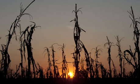 US to get hotter, drier