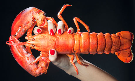 Woman holding cooked lobster