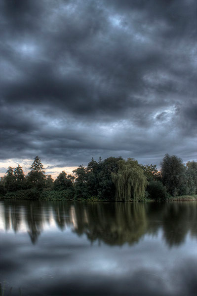 Green shoots: about patterns in nature