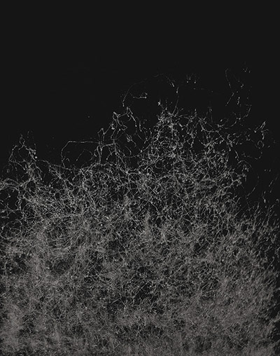 Share Your Art: One by David Bravey