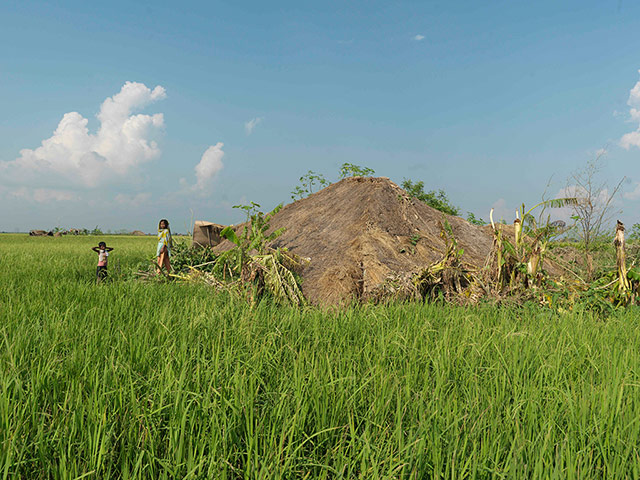 Bangladesh: tropical storm