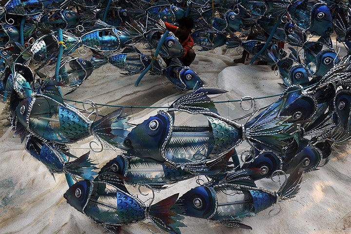 Week in wildlife: awareness about the marine life and marine eco-system 