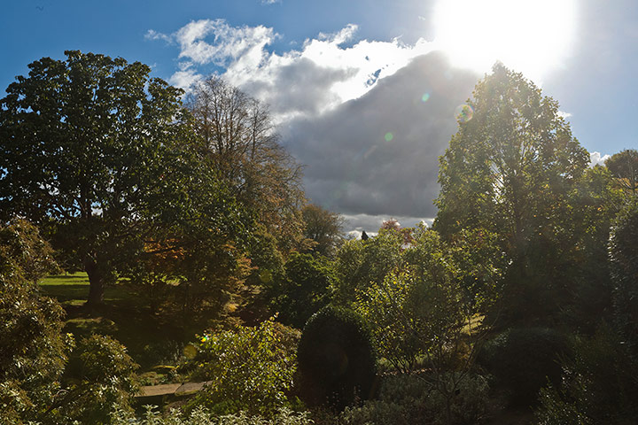 Week in wildlife: Wakehurst