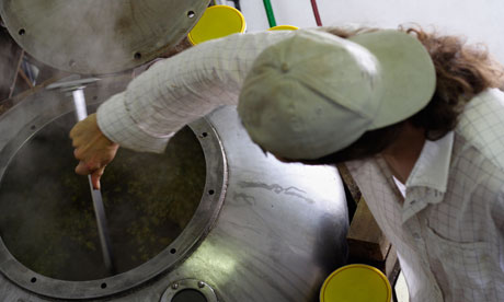 A brewer stirs hops into beer