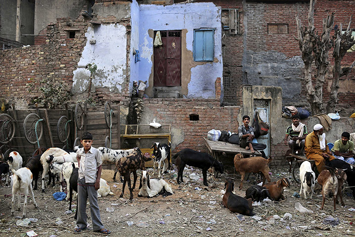 24 Hours: Men sell goats at an outdoor market in New Delhi, India