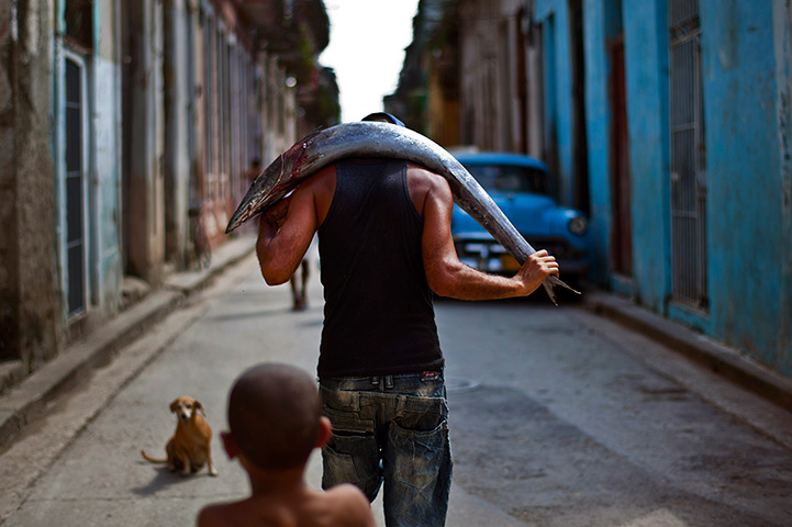24 hours in pictures: A man carries a freshly caught fish on his back to sell