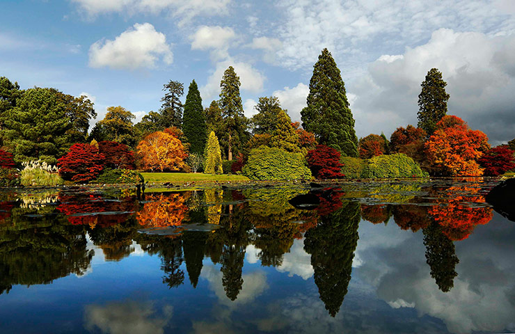 Autumn colours: Autumn leaves are reflected in a pond, Sheffield Park Gardens, East Sussex