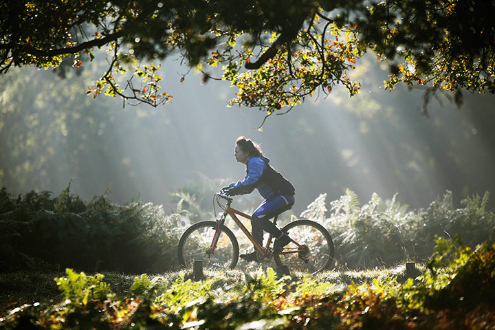 Autumn colours: A woman cycles in Richmond Park, London