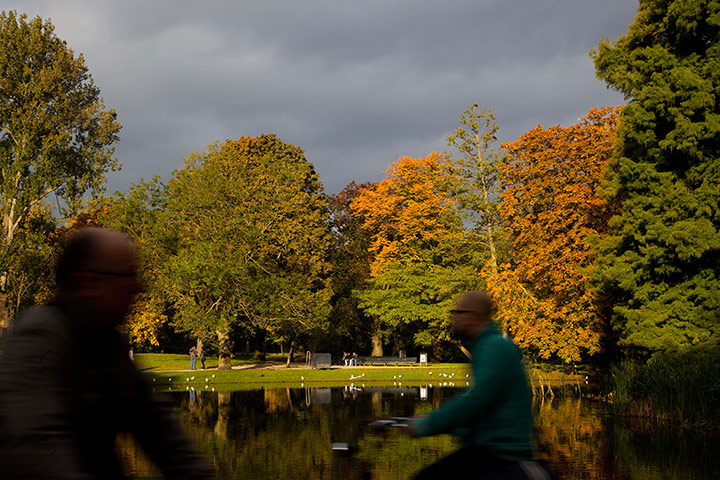 Autumn colours: Autumn leaves in the trees in Vondelpark in Amsterdam, Netherlands