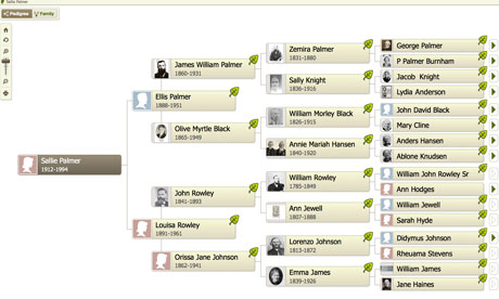 Family tree made on Ancestry.com