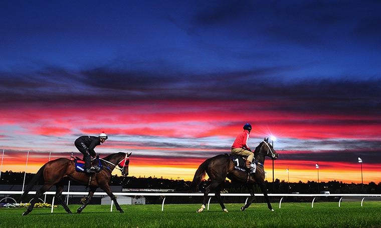 24 hours in pictures: Jockeys at at Moonee Valley Racecourse