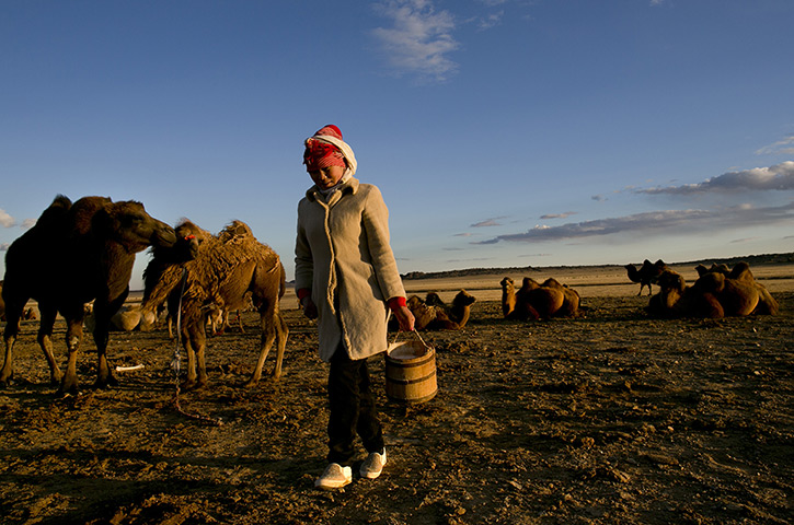 FTA: Paula Bronstein: Mongolia's Biggest Foreign Investment The Oyu Tolgoi Mine