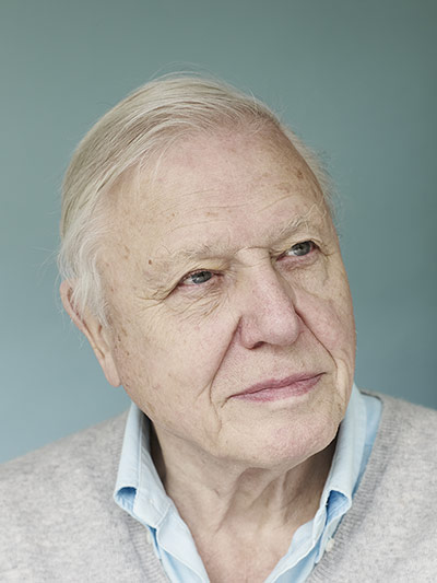 Observer Photography: Sir David Attenborough