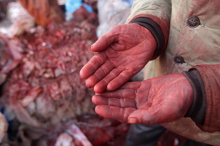 Toxic pollution:  illegal dye production workshop