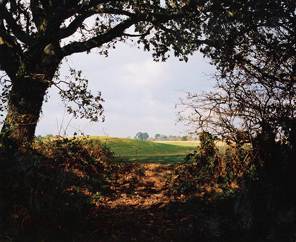 Exhibitionist2710: Richard Billingham