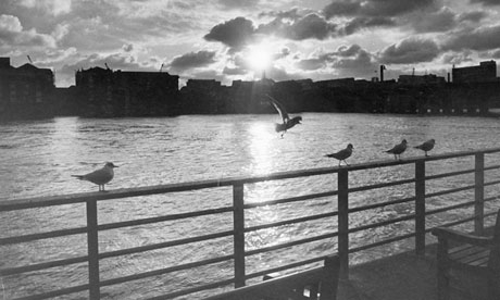 Seagulls over River Thames in Southwark