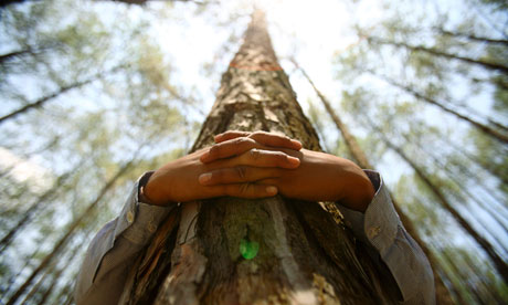 A boy hugs a tree trunk