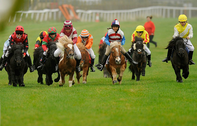 best of the week: 2012 Shetland Pony Gold Cup 