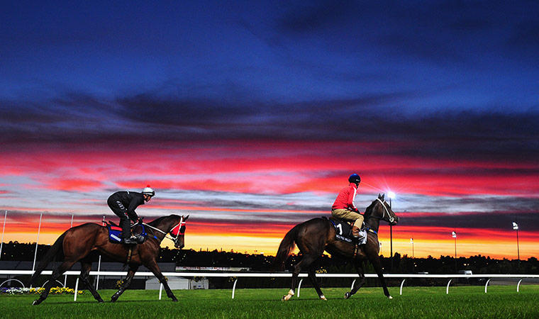 best of the week: Breakfast With The Stars at Moonee Valley
