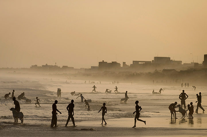 20 Photographs: Residents of Yoff wash sacrificial rams in the Atlantic Ocean