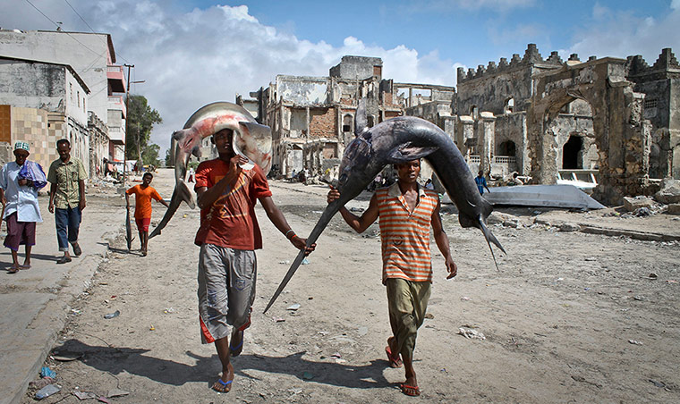 20 Photographs: Somalis carry a swordfish and a shark on their heads in Mogadishu, Somalia