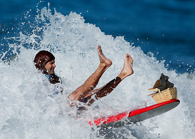 Halloween Surf: Halloween surf contest in Santa Monica