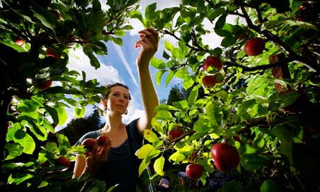 Abundance Manchester