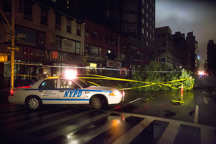 Sandy hits New York: Lights from an NYPD police vehicle illuminate a fallen tree on 6th Avenue