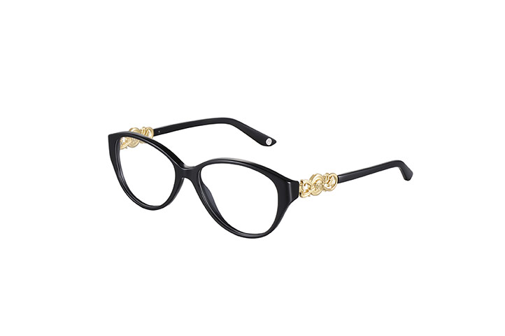 Specs gallery: Black and gold specs
