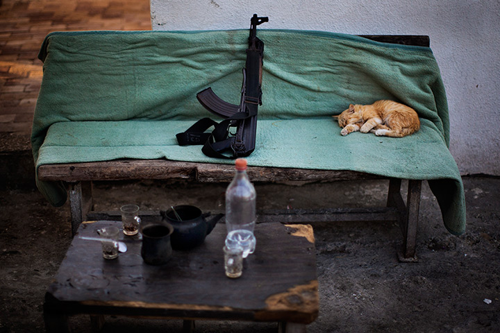 24 hours in pictures: A cat sleeps next a Kalashnikov weapon on a Hamas security check point