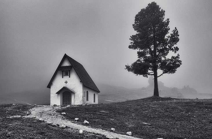 Guardian Camera Club: A review of Tim Whiting's portfolio